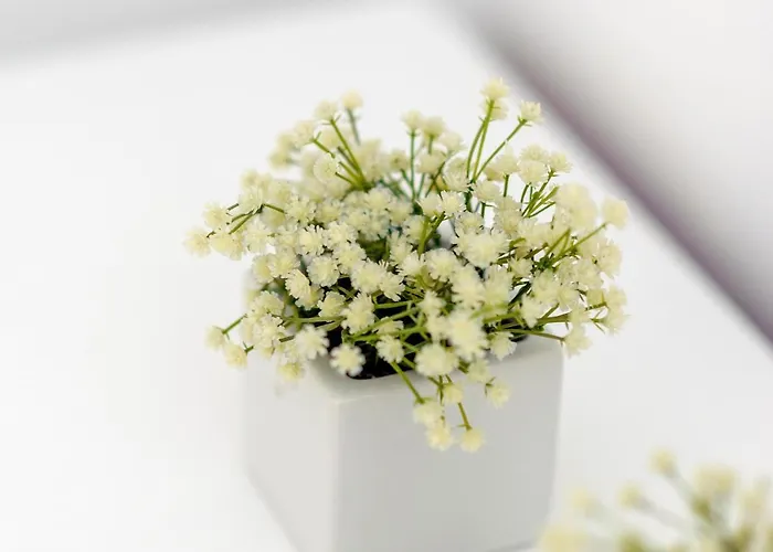 Appartement Malibu Zaboric